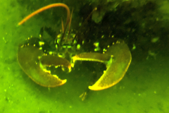 DCIM\100GOPRO\GOPR1223.JPG
